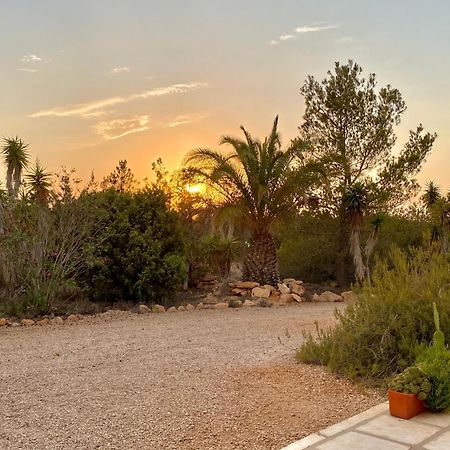 Ses Oliveres Cala Saona Exterior photo